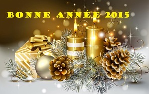 BONNE ANNEE 2015 !!