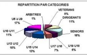Statistiques sur les licenciés du club