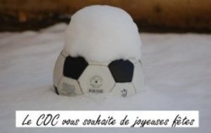 BONNES  FÊTES   A  TOUS