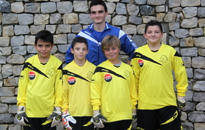 Gros plan sur la section "Gardiens de but"