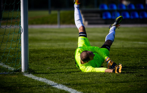 Entraînements gardiens 