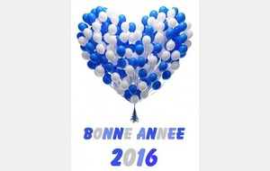 BONNE ANNEE 2016