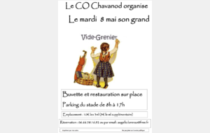 Vide Grenier 2018