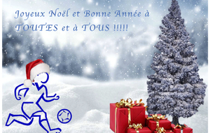 Joyeux Noël et Bonne Année à tous !! 