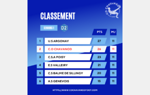 Classements actuels de nos équipes en foot à 11 ! 