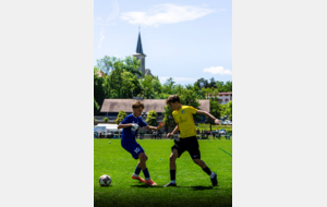6a0c79c068cf5_IMG6864.png