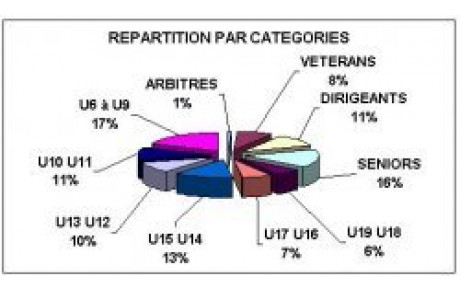 Statistiques sur les licenciés du club