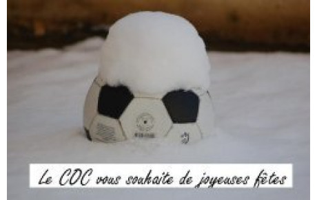 BONNES  FÊTES   A  TOUS