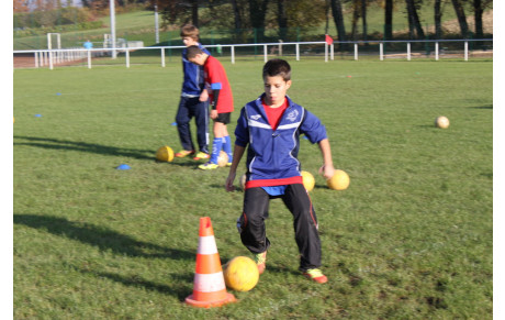 Entraînements : dates de reprise Jeunes