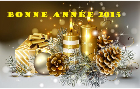 BONNE ANNEE 2015 !!