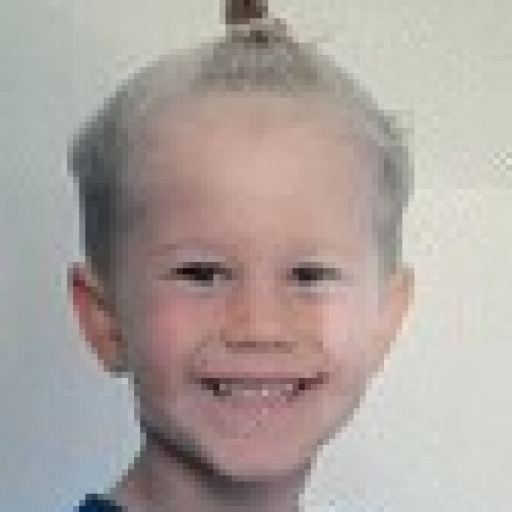 Félix Saddier Petavy